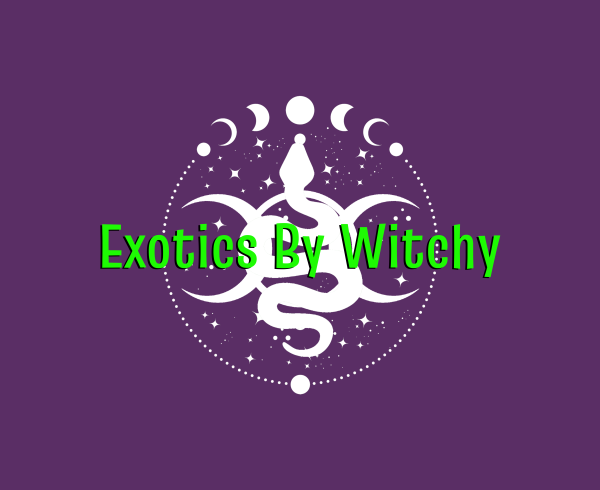 Exotics By Witchy Logo