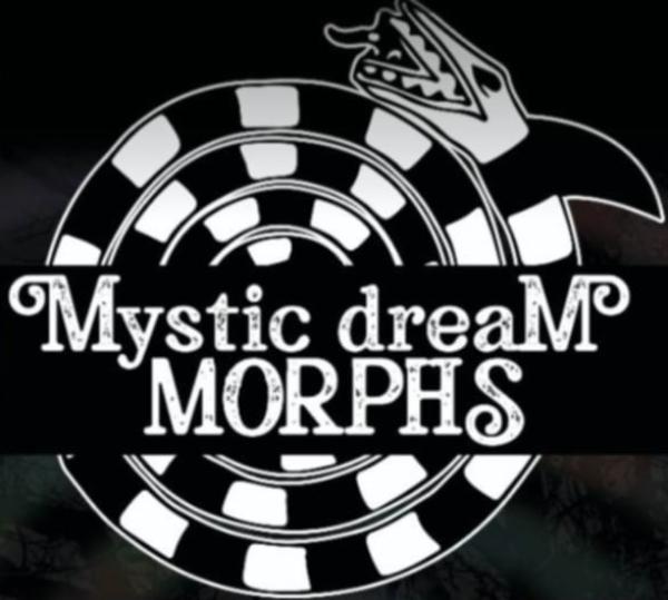 Vendor Logo