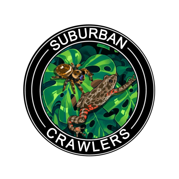 Vendor Logo
