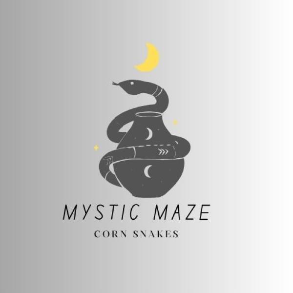 Vendor Logo