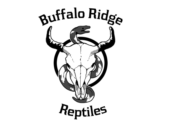 Buffalo Ridge Reptiles Logo