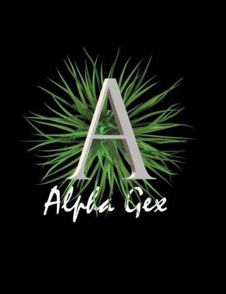 Vendor Logo