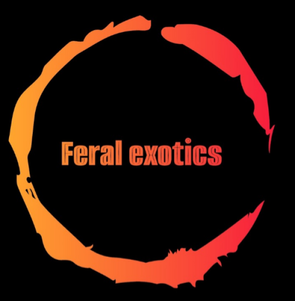 Vendor Logo