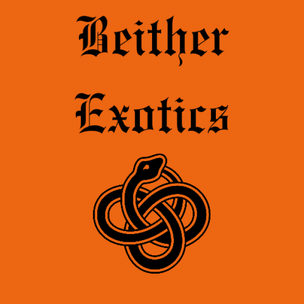 Vendor Logo