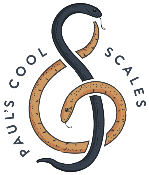 Vendor Logo
