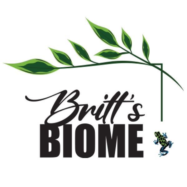 Vendor Logo