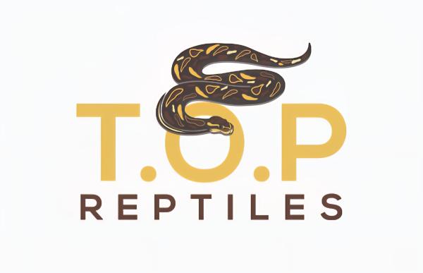 Vendor Logo
