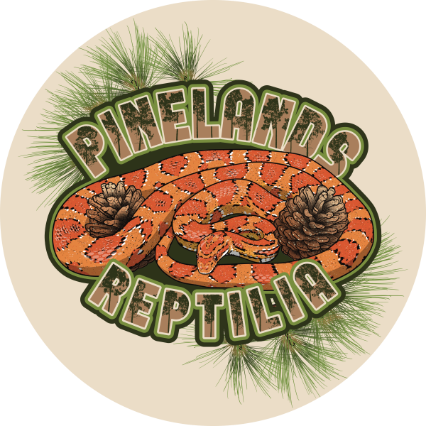 Vendor Logo