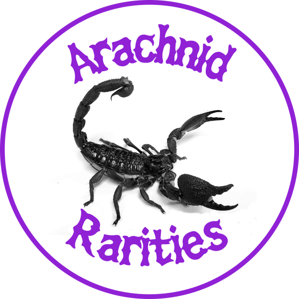 Vendor Logo