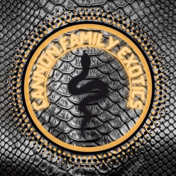 Vendor Logo
