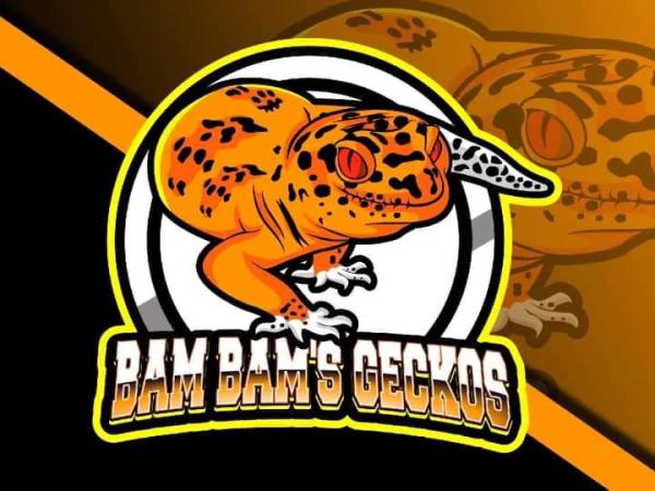 Vendor Logo