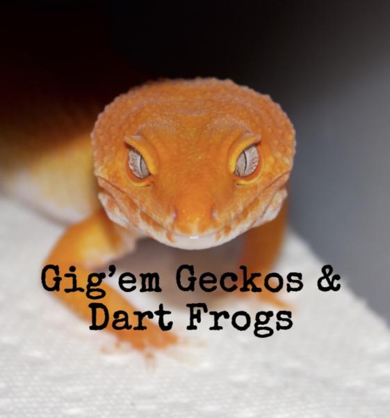 Vendor Logo