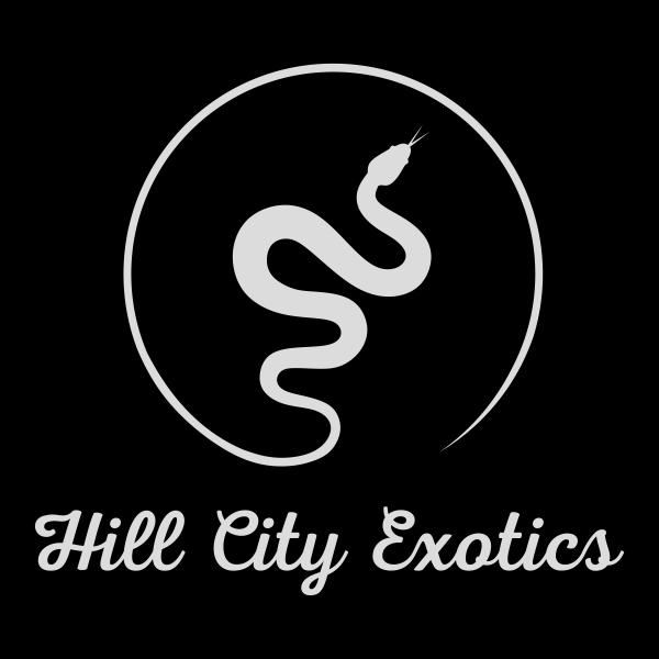 Vendor Logo