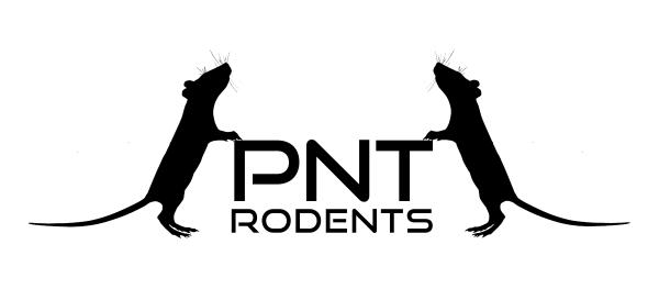 Vendor Logo