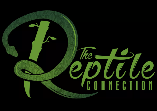 The Reptile Connection  Logo
