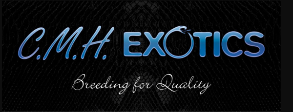 Vendor Logo