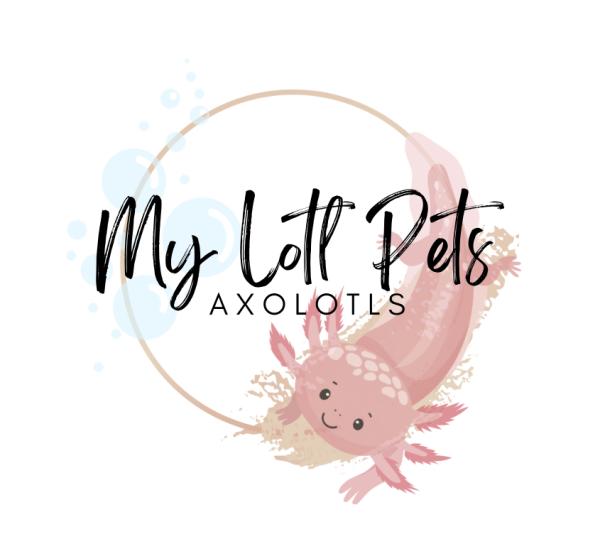 Vendor Logo