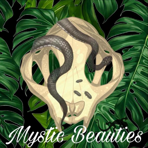 Vendor Logo