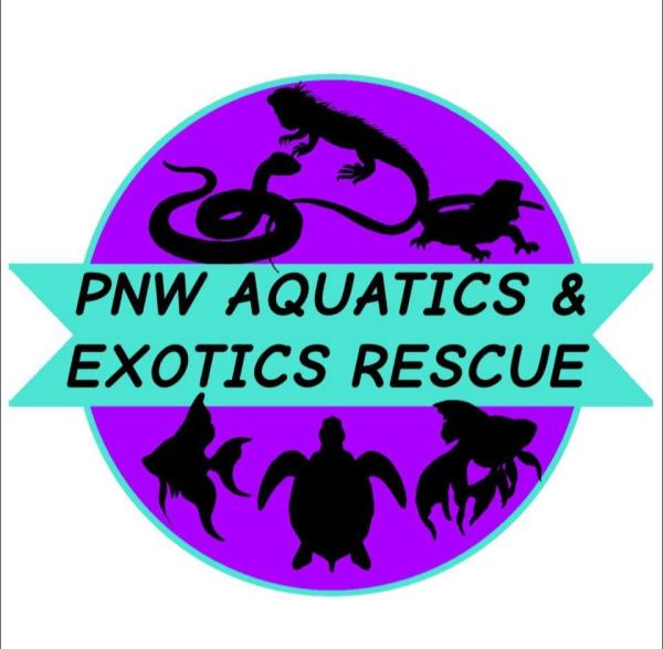 Vendor Logo