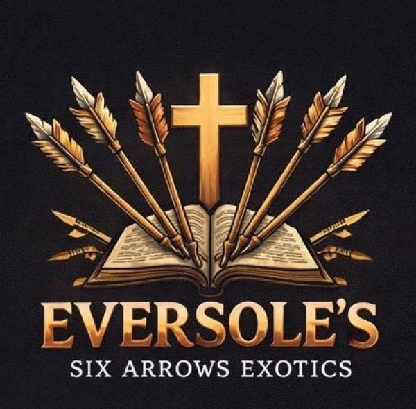 Six Arrows Exotics LLC Logo