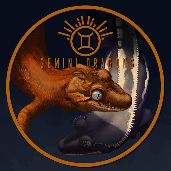 Gemini Dragons Logo