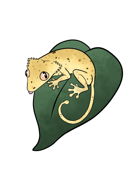 Vendor Logo