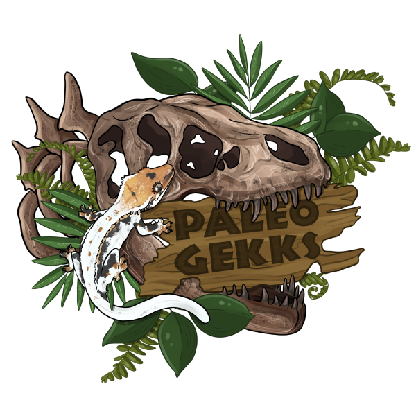 Paleo Gekks  Logo