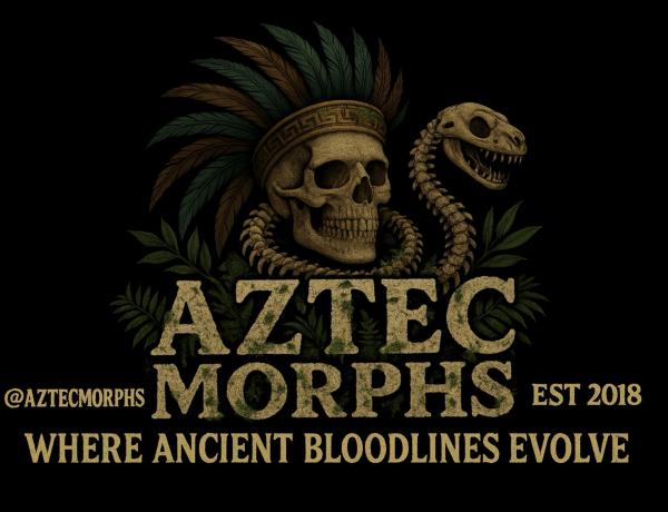 Vendor Logo