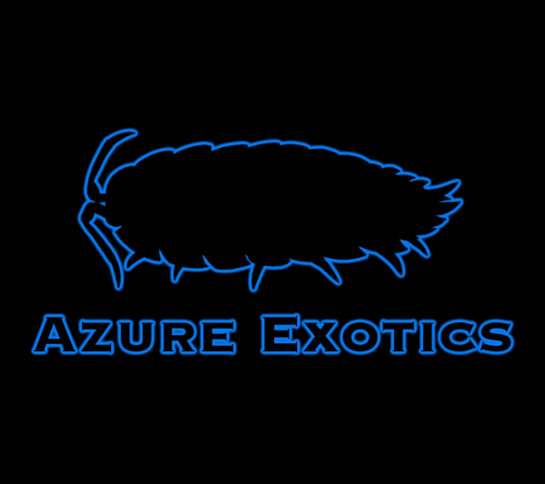 Vendor Logo