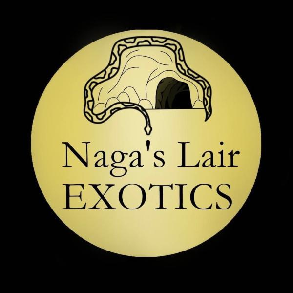 Vendor Logo