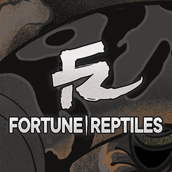 Vendor Logo
