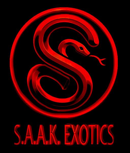 Vendor Logo