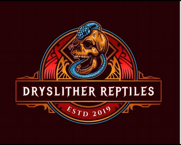 Vendor Logo
