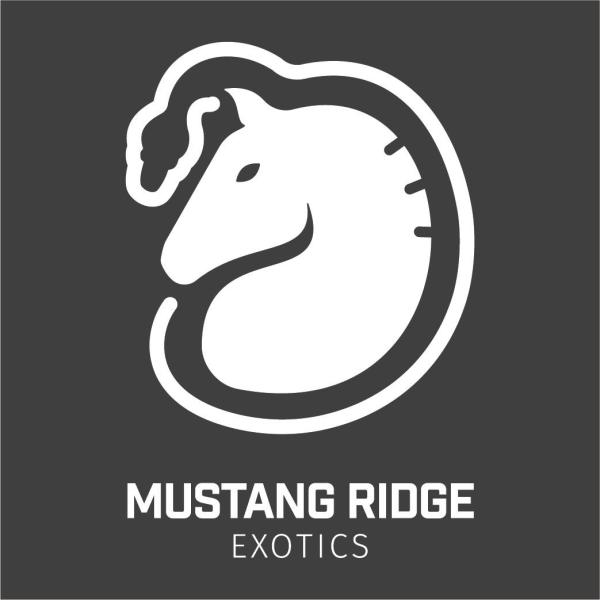 Vendor Logo