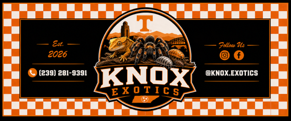 Vendor Logo