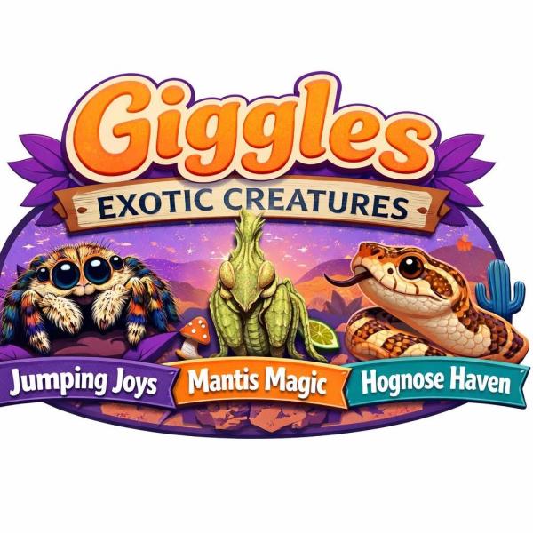 Giggle’s Jumping Joys  Logo