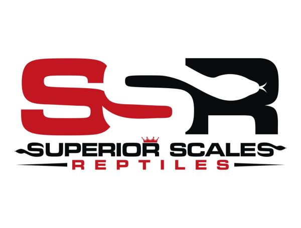 Superior Scales Reptiles Logo