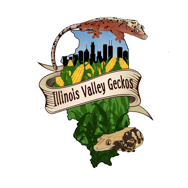 Illinois Valley Geckos Logo