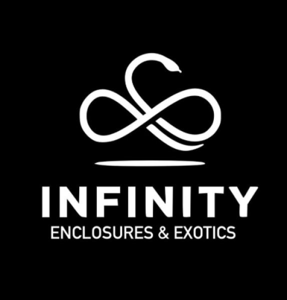 Infinity Enclosures & Exotics  Logo