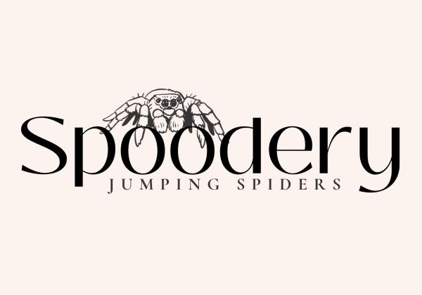 Vendor Logo