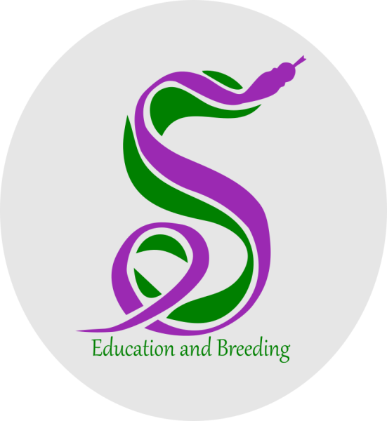 Vendor Logo