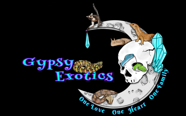 Vendor Logo