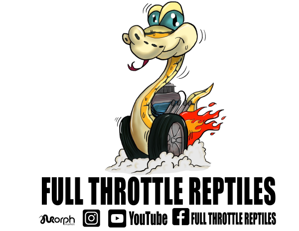Vendor Logo