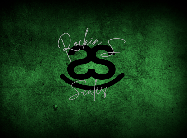 Vendor Logo