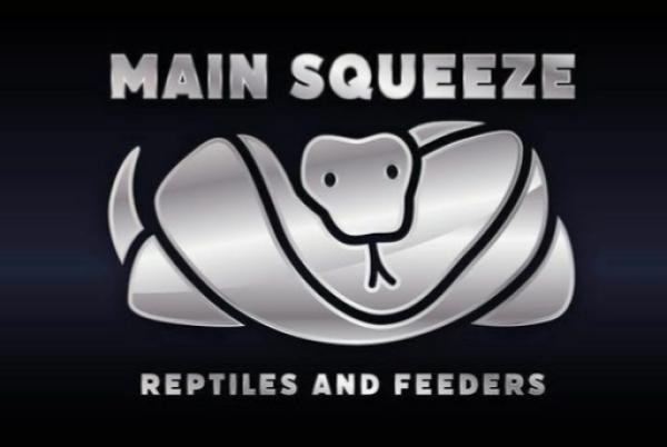 Vendor Logo