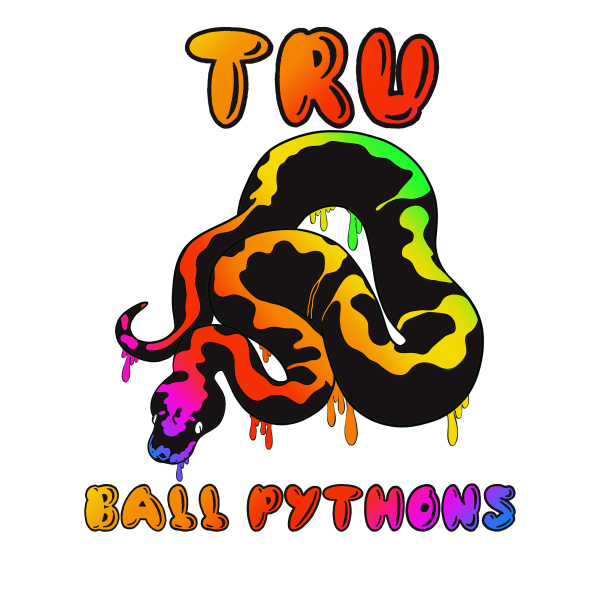 Vendor Logo