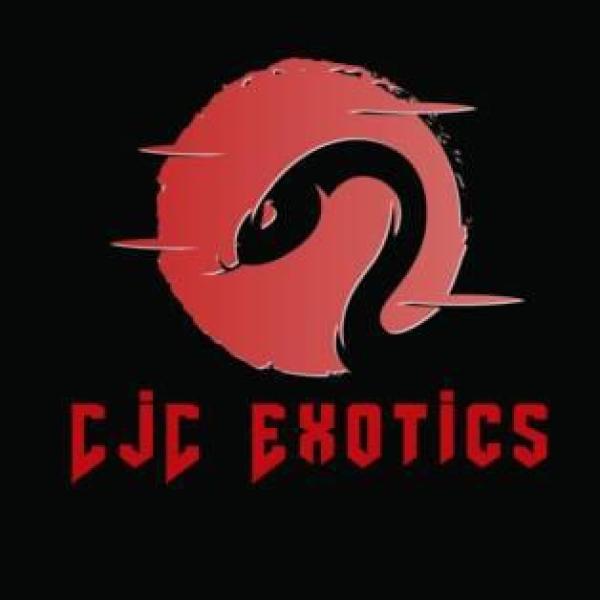 Vendor Logo