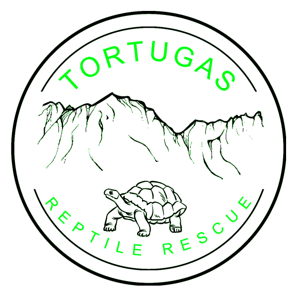 Vendor Logo