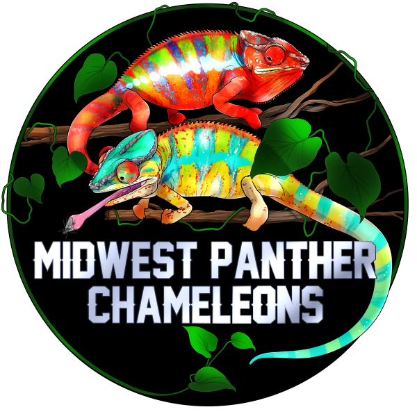 Vendor Logo