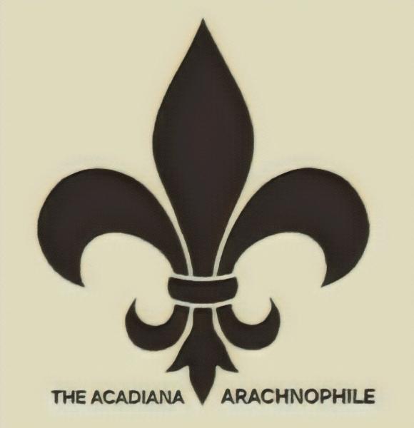 The Acadiana Arachnophile Logo